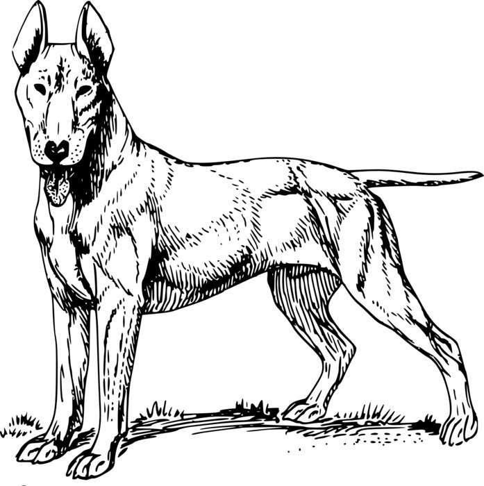 graphic image of a terrier