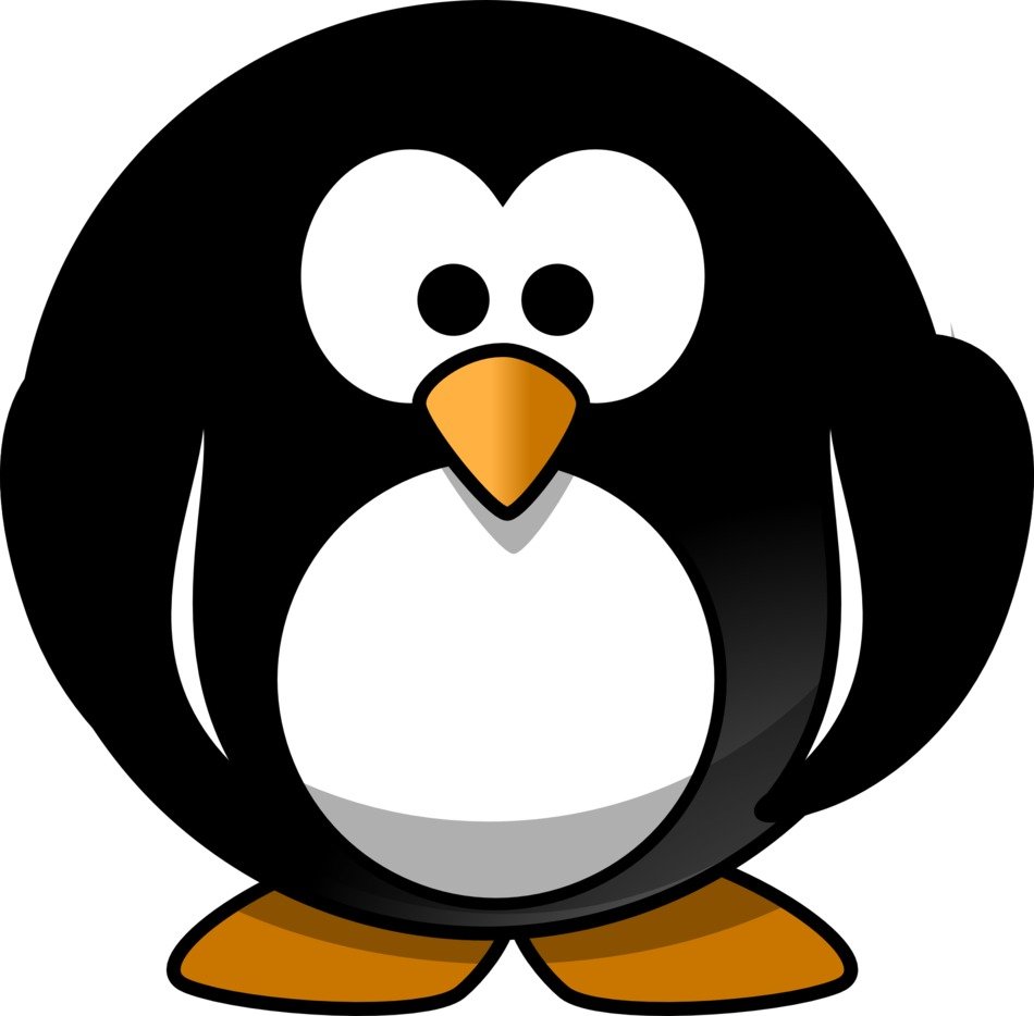 penguin on white background
