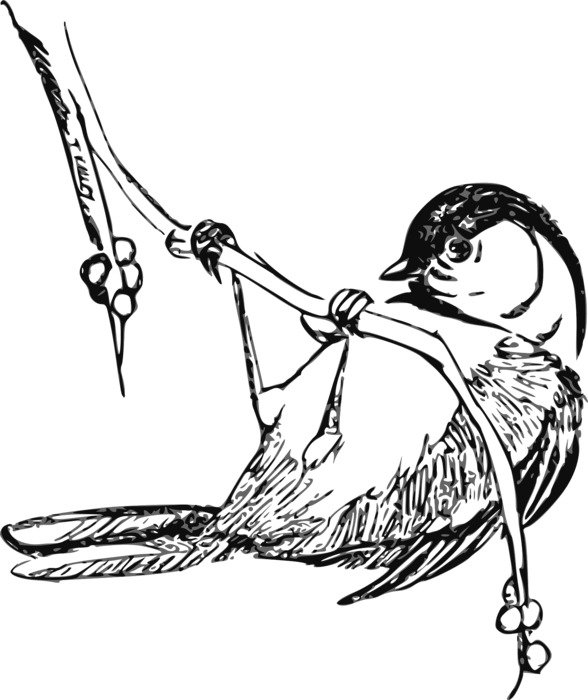 black and white graphic image of a finch on a branch