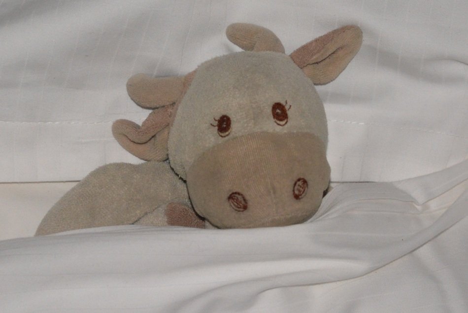 toy for sleeping