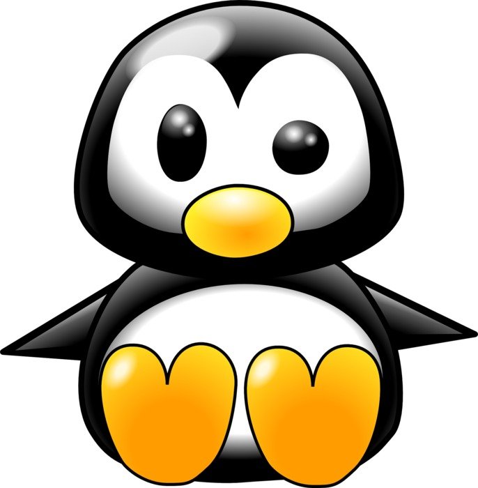 Clipart,picture of penguin chick