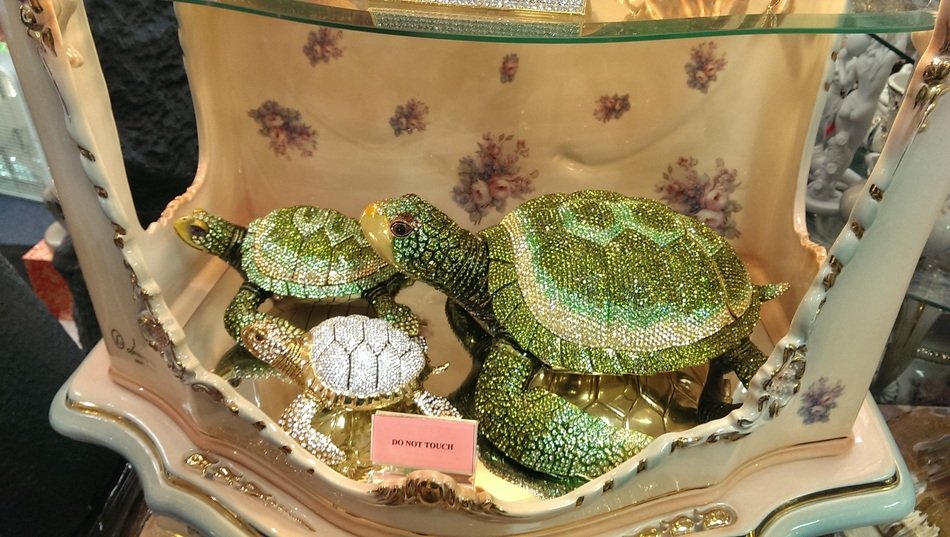 turtle as jewelry