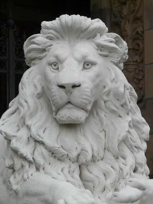 sculpture of a lion of plaster