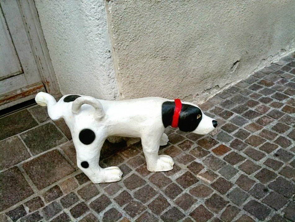 stone pissing dog