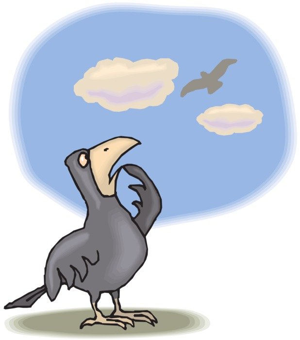 drawing of a bird looking at the sky