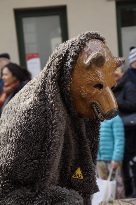 person in the animal mask