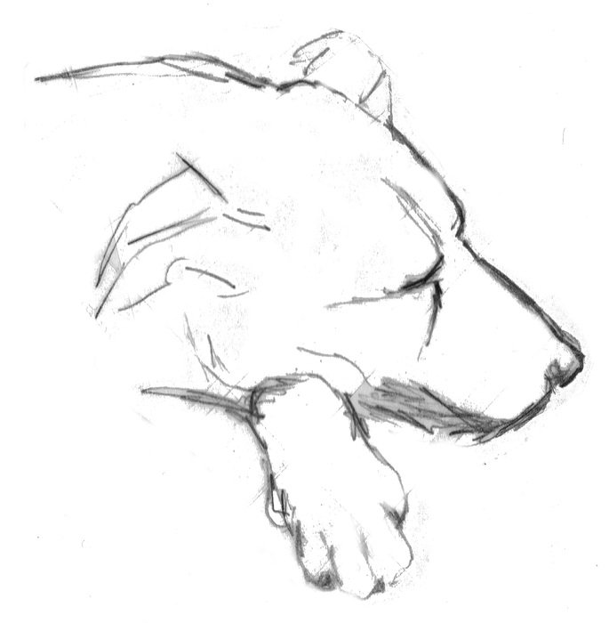 İllustration of Sleeping dog