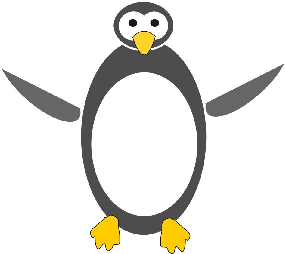Picture of penguin