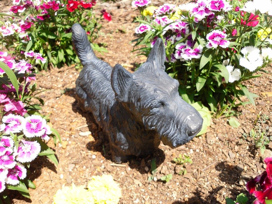 Terrier Bronze Statue