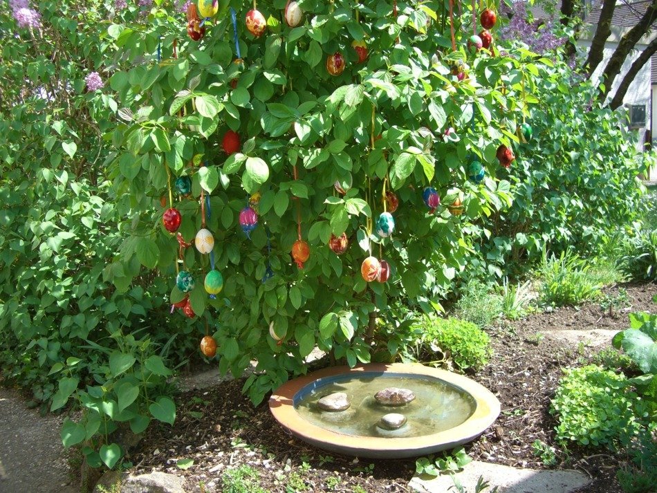 Beautiful Easter Bush in the garden