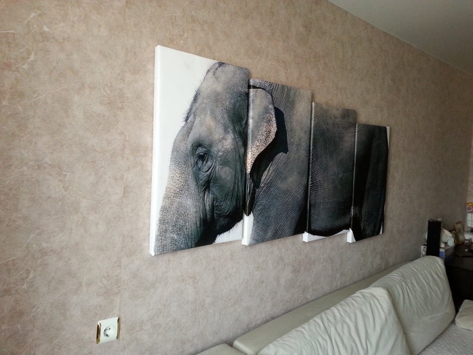 Elephant , Modular Painting on wall