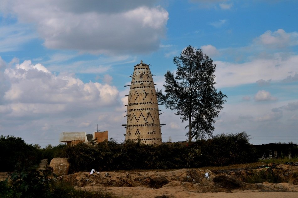bird tower in egypt