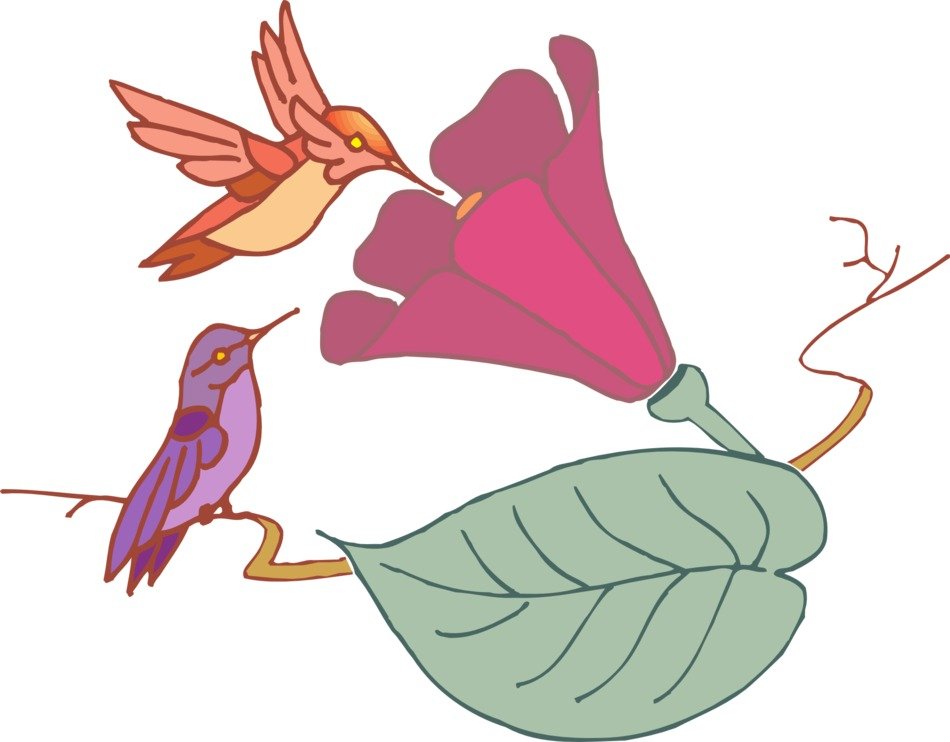 graphic image of birds near a bright flower