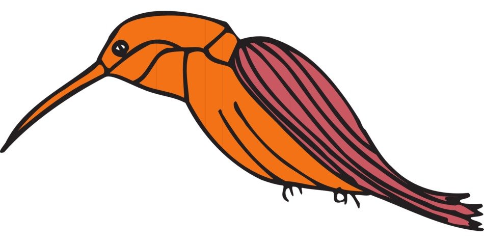 İllustration of Sapsucker Bird