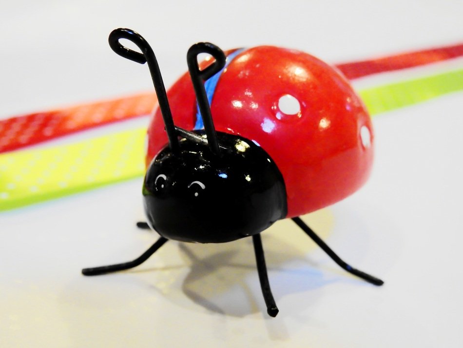 ladybug toy