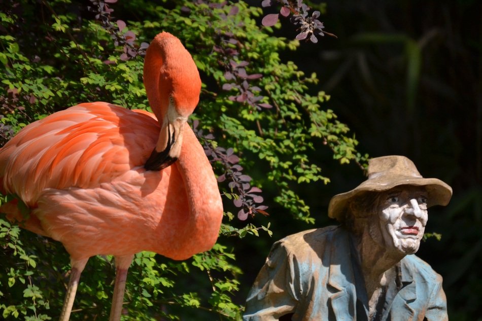 Picture of Flamingo Statue