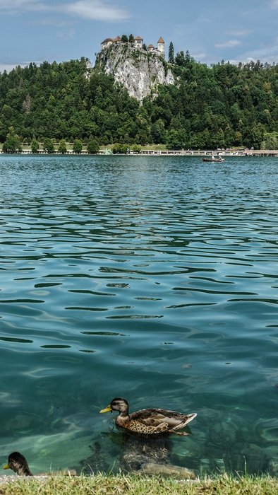 Duck Lake Castle