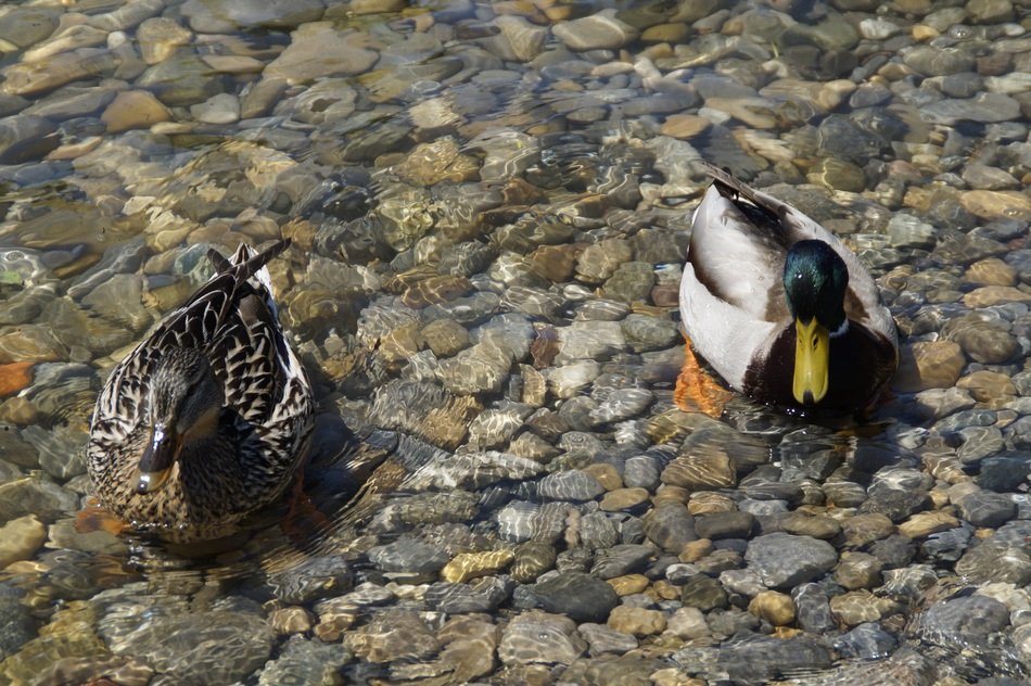 couple on the lakeside
