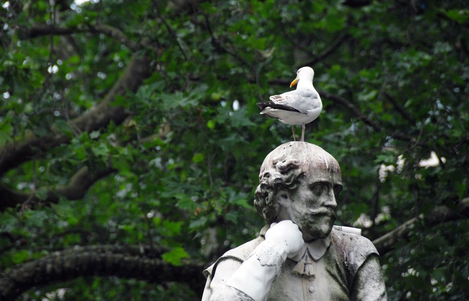 seagull on the head of the statue