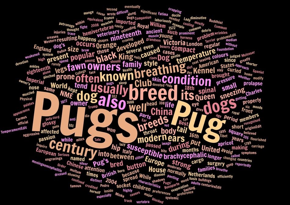 Pugs text drawing
