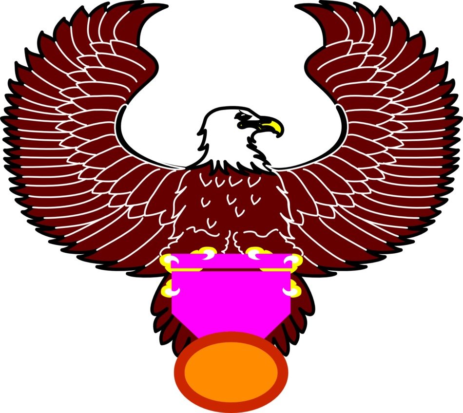 graphic image of a eagle with awards