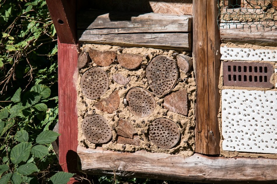 Insect house as box