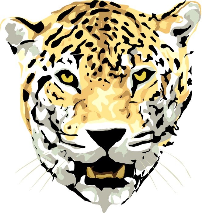 Beautiful drawing of the jaguar clipart