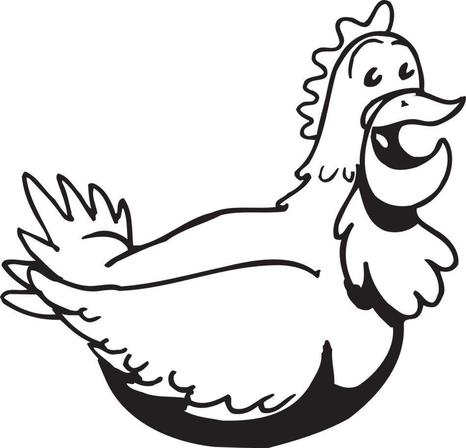 Picture of chicken