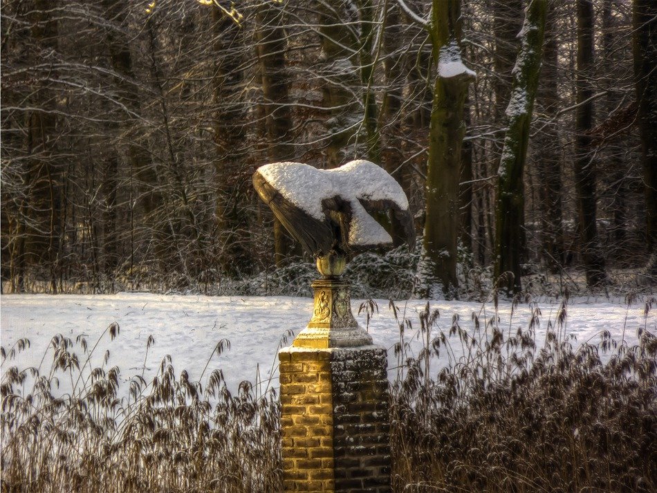 statue in the winter garden