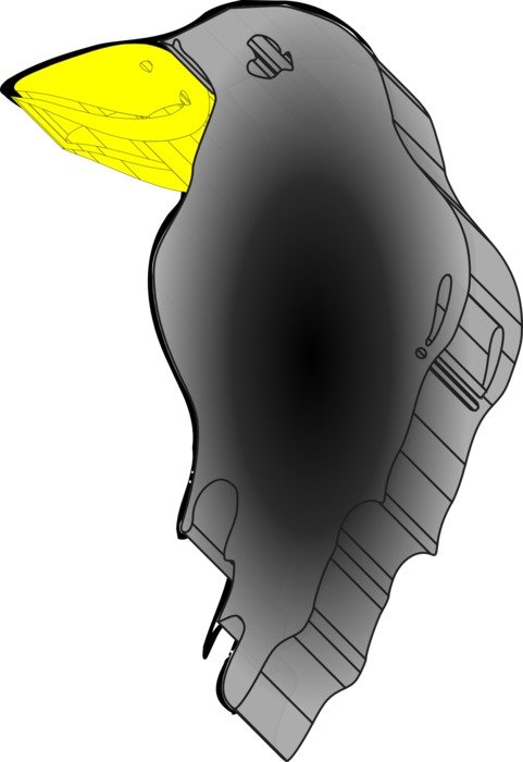 painted head of crow