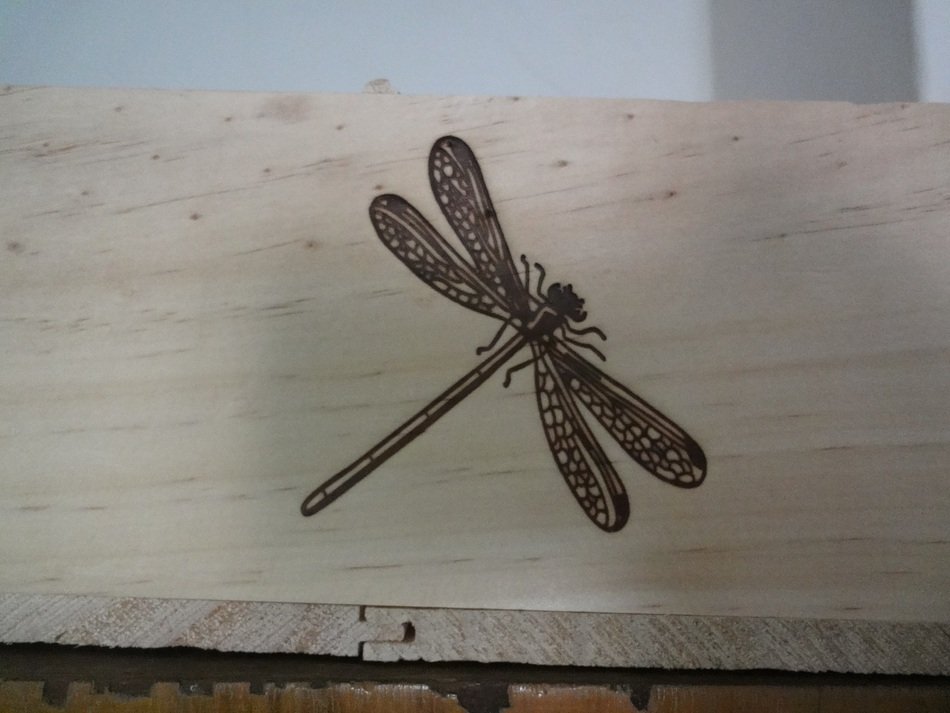 Drawing of Dragonfly on a wood