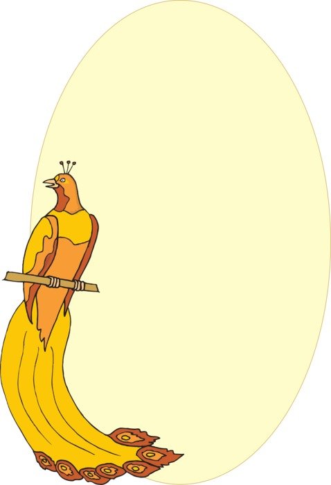Picture of yellow peacock