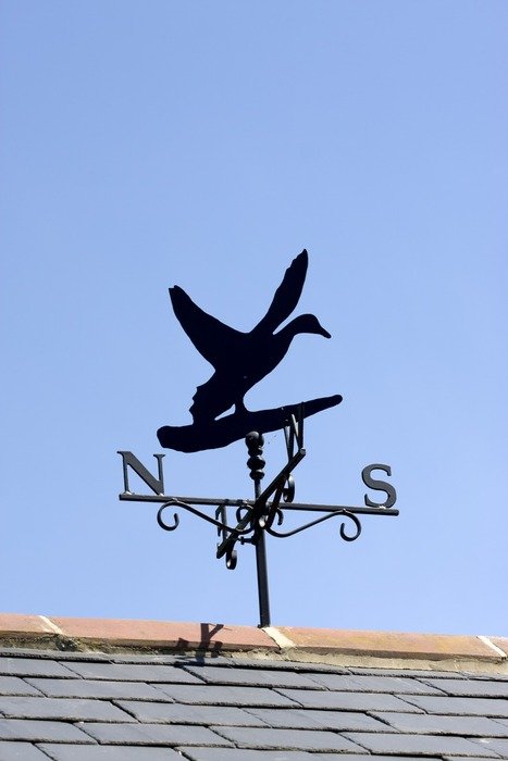 duck shaped weather vane