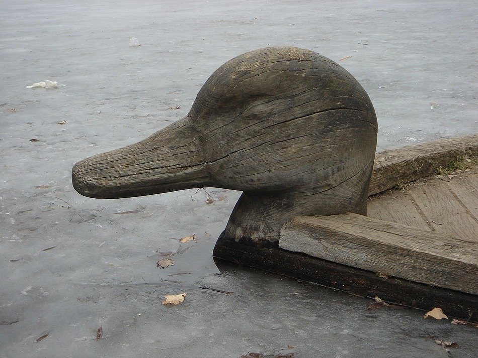 wooden boat is in a shape of the duck