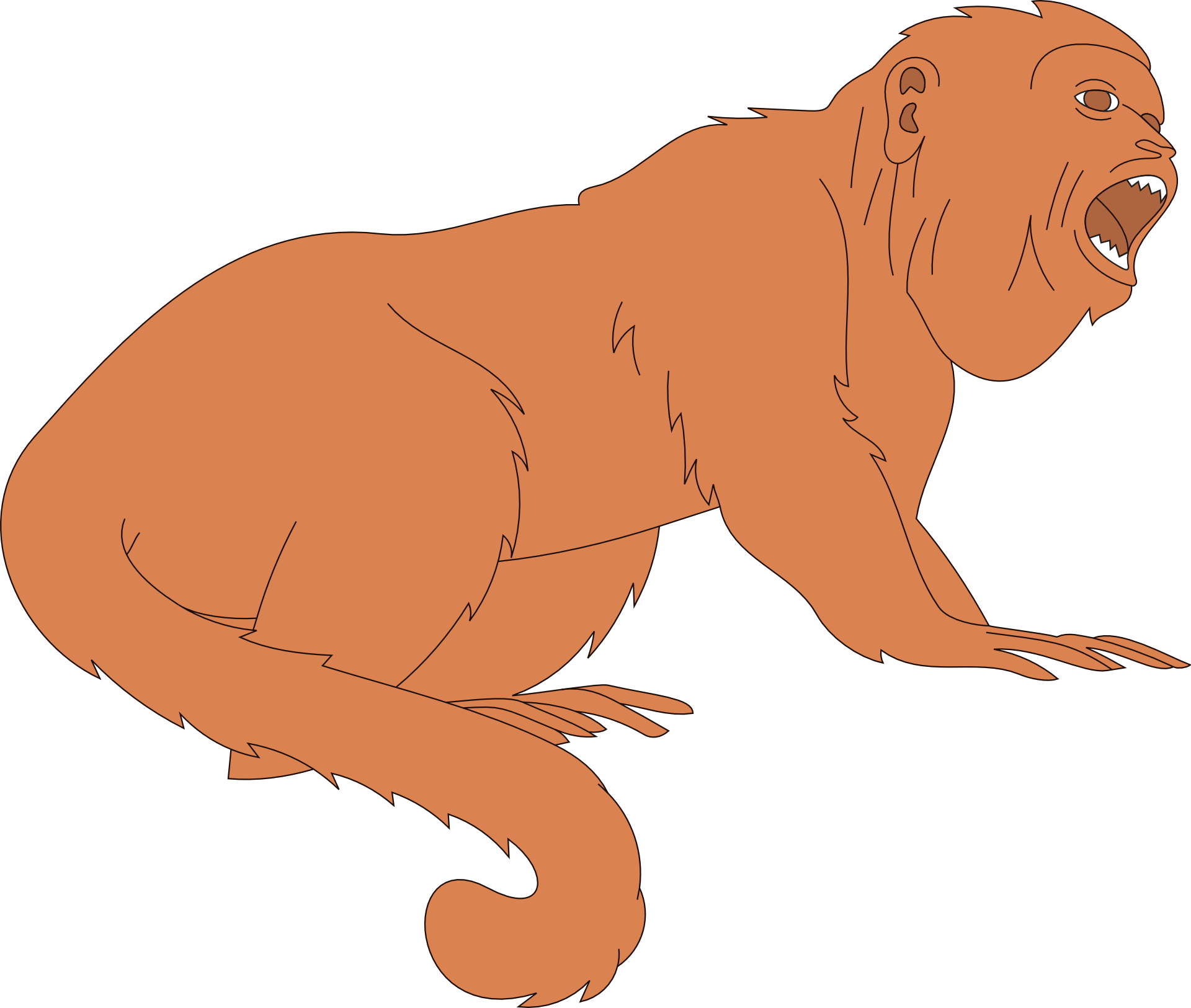 Monkey as a drawing free image download