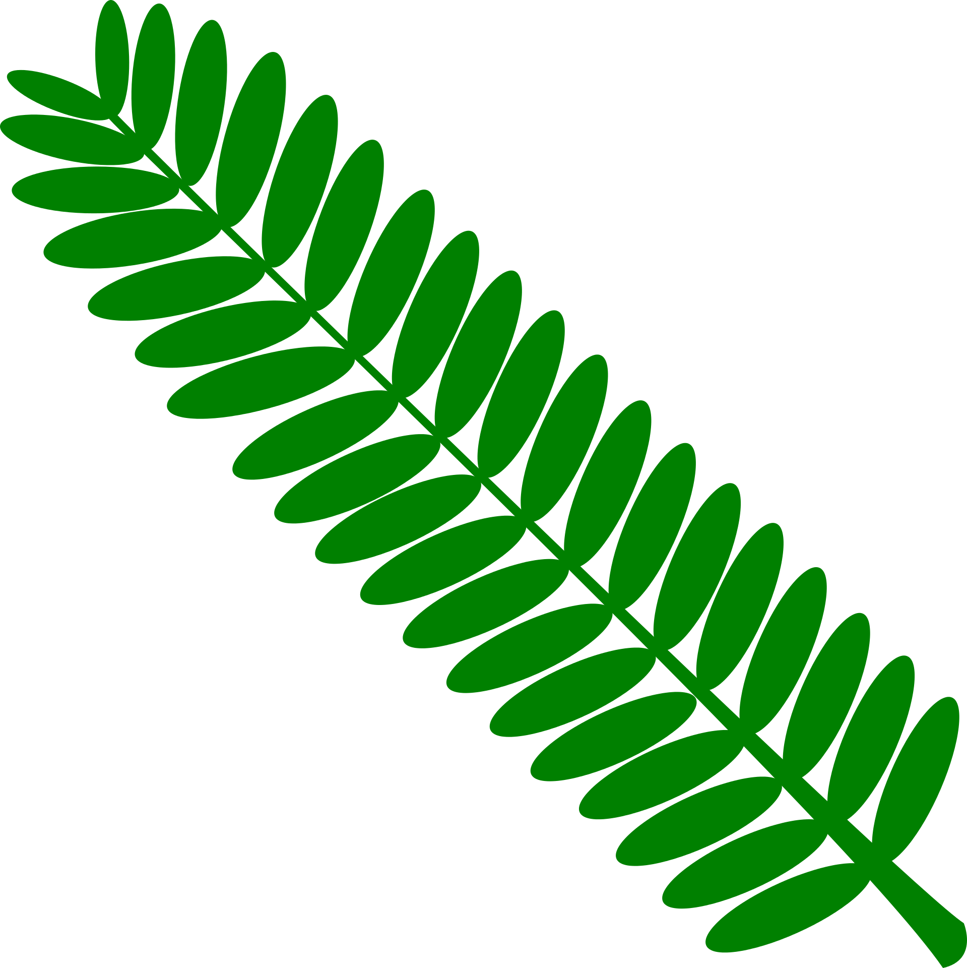 Green Home Leaf drawing free image download