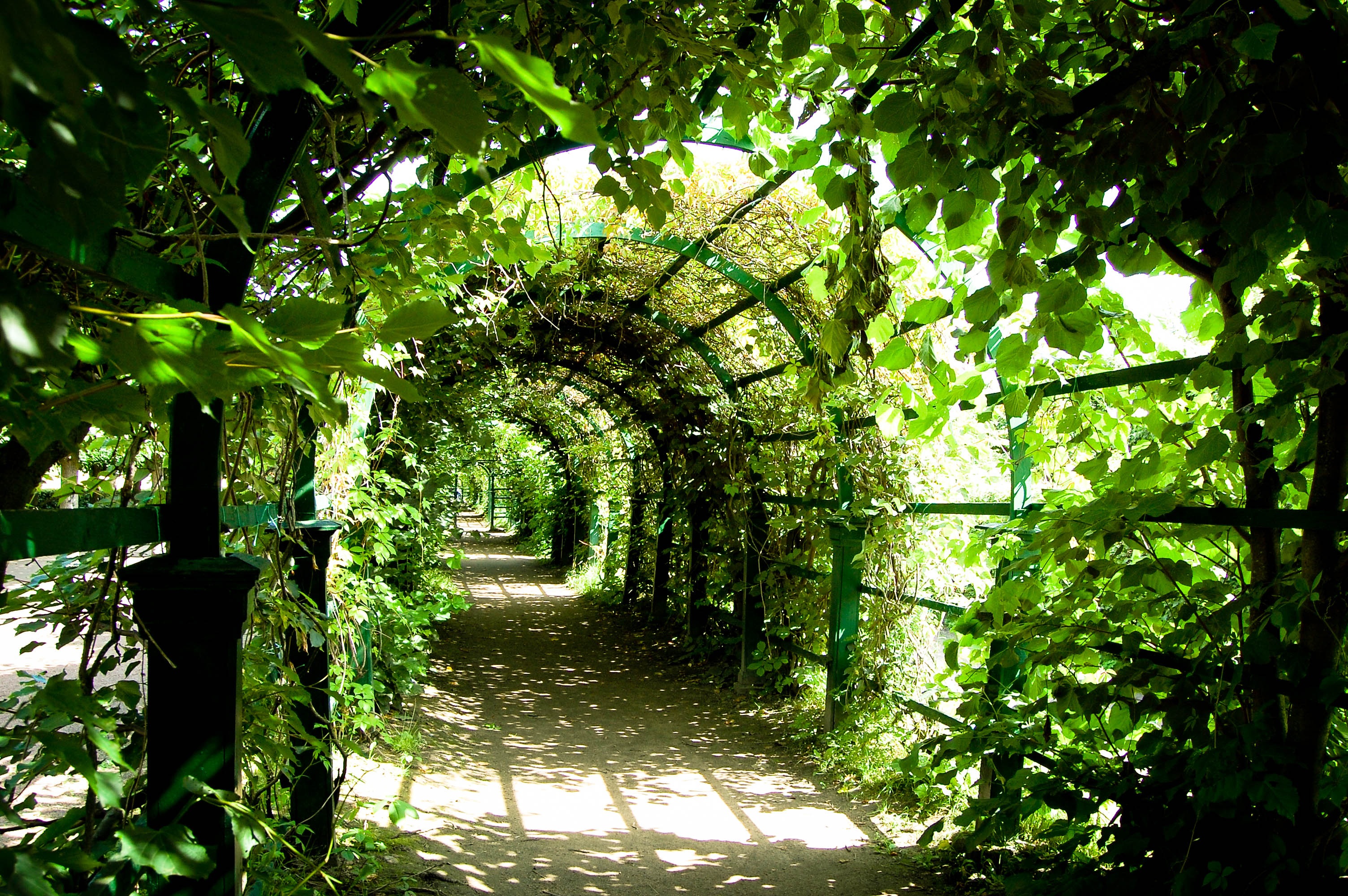 Arched Concept For Green Corridor Free Image Download