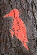 red woodpecker as a drawing on a log