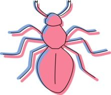 graphic image of a pink insect