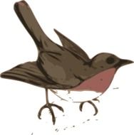 Ä°llustration of Robin Bird