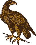 drawing of the eagle bird