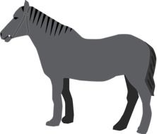 grey standing horse drawing