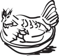 drawing of chicken in the bowl