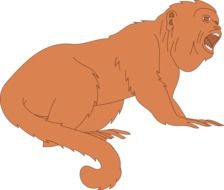Monkey as a drawing