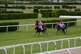 horse racing at the stadium