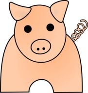 drawing pig on a white background