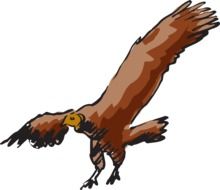 drawing of a brown vulture