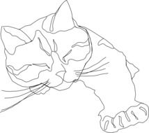 cat as a sketch