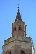 stork nest on the bell tower of a church