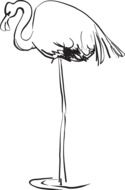 pleasant Flamingo drawing